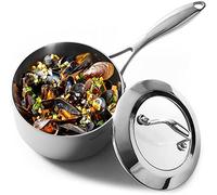 HOMICHEF Mirror Polished Nickel Free Stainless Steel Sauce Pan with Glass Lid (16 cm, 1.7 Litre) - No Toxic Non Stick Coating, Whole-Clad 3-Ply