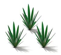 Homight Metal Country Sculpture DIY Tequila Plant Home Decor Garden Ornament Indooutdoor Statuette Patio Lawn Stake Decoration Gift