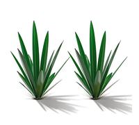 Homight Metal Country Tequila Sculpture DIY Tequila Plant Home Decor Garden Ornament Patio Stake Decoration Gift