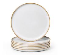 Homikit 6 Piece Dinner Plates, 26.5cm Round Dinnerware Stoneware Set for Kitchen Restaurant Christmas, Reactive Glaze & Non-Scratch, Dishwasher and Microwave Safe, Cappuccino Beige