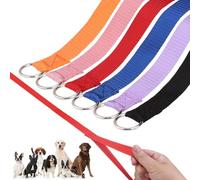 HOMIMP Slip Lead Dog Leash 6 FT- 6 PCS Bulk Colors Kennel Control Leashes for Small Medium Large Dogs Puppy Animal Rescue, Grooming - Heavy Duty Strong Nylon 6 Foot Long for Shelter, Vet, Training