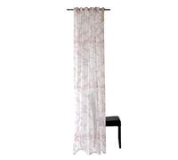 Homing Transparent curtain rose (1 piece) 245 x 140 cm (H x W), 140 x 245 cm