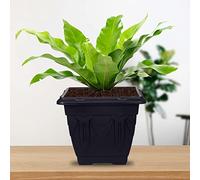 HOMION 38cm Square Flower Pots Venetian Plastic Garden planter pot container (Black) (1x)