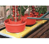 HOMION Plant Halos Pots Watering Crop Support Garden Plant Halo (3, RED)