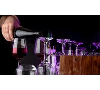 Homiu Florence Glassware: Champagne Flute/ 6- Pack