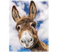 HommomH 60"x80" Donkey Blanket Animal Selfie Blankets Soft Warm Plush Fleece Throw for Couch Sofa Bed