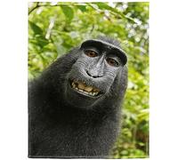 HommomH 60"x80" Monkey Blanket Animal Selfie Blankets Soft Warm Plush Fleece Throw for Couch Sofa Bed