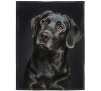 HommomH Black Lab Blanket, Gorgeous Labrador Dog Print, Soft Fluffy Fleece Throw 50"x80"