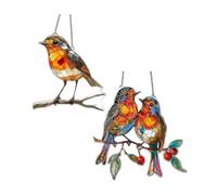 hommova 2 Pcs Acrylic Robin Sun Catchers for Windows, 20 cm x 20 cm Hanging 2D Robin Suncatcher for Home Garden Wall