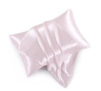 HommxJF Blush Pink Satin Pillowcases with Zipper （20x26）,Standard Size Satin Pillowcases Set of 2, Blush Pink Silk Pillowcase for Hair and Skin