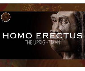 Homo Erectus: 'The Upright Man'