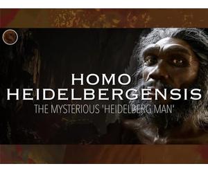 Homo Heidelbergensis: The Mysterious 'Heidelberg Man'