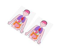 HOMOBABE 2 Sets Human Organs Models DIY Educational for Cognitive Learning Kits for Explore Anatomy Enhance Analytical and Imagination Skills