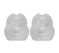HOMOBABE 2pcs Adorable Small Melon Shaping Molds Fruit Supply for Gardening Crafts Creative Ginseng Fruit and Melon Growth Molds Reusable Forming Tools for Home Use