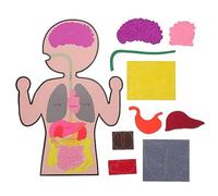 HOMOBABE 3 Sets DIY Human Organs Models of Cognitive Teaching for Learning to Enhance Parent Interaction and Motor Skills Development