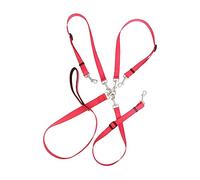HOMOBABE Adjustable Traction Rope for Pet Training Lead Nylon Weave Dog Leash for Obedience and Running Shock Absorbing Coupler for Puppies and Adult