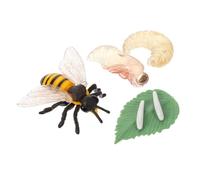 HOMOBABE Bee Growth Cycle Model Realistic Educational Ornament for Detailed Evolution Display for Learning and Enhances Imagination and Understanding of Insect Life Cycle