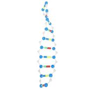 HOMOBABE Double Helix Dna Model Educational Tool for Science Teaching Interactive Biology Instrument for Students Wear Resistant Design Enhance Learning Experience