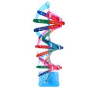 HOMOBABE Portable Dna Model Kit Double Helix Structure for Biology Education Accurate Human Genes Molecular Model for Classroom Teaching Home Learning Science Exhibitions Lightweight