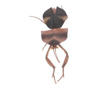 HOMOBABE Realistic Mantis Model Insect Statue Praying Mantis Toy Figure Hand Painted Simulation Insect Toys