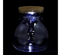 HOMOCONO DIY and Wood Material High Borosilicate Glass Micro Landscape Ecological Bottle with LED Light Easy to Display Fish Tank with Light and Creating Unique for Decorating Your Room