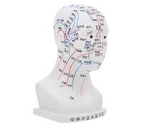HOMOCONO Head for Ergonomic Points Design Classroom Acupuncture Acupoint Model PVC 20cm with Accurate Health Demonstrations