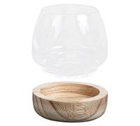 HOMOCONO Landscape Hydroponics Glass Flowerpot Tray Small Decorative Container for Indoor Tabletop Glass Aquarium Fish Bowl for Home Decor