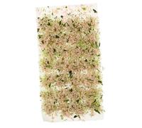 Homoyoyo 1 Box Miniature Artificial Flower Cluster for Fairy Garden Decor Realistic Simulation Vegetation Model for Home Office Aquarium Sand Table DIY Natural Chic Ornament Gift
