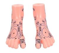 Homoyoyo 1 Pair Foot Model for Massage and Education Realistic Foot Reflexology Teaching Tool for Schools Laboratories and Training Institutions for Lifelike Learning Experience