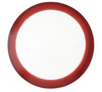 Homoyoyo 10 Inch Round Silicone Baking Mat - Non-Stick Reusable Baking Liner for Pizza Cakes and Pastries Food Grade Silicone Ideal for Baking and Cooking Random Color