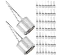 Homoyoyo 100pcs Mini Electret Condenser Microphone Pickups with 2 Pins, 6x5mm Omnidirectional Needle Condenser Cylindrical Microphone Elements for Electronics Projects and DIY Audio