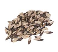 Homoyoyo 100pcs Oval Wood Discs for DIY Crafts with Fine Polishing on Both Sides, Solid Wood Material, for Wedding Decorative Ideas and Craft Embellishments