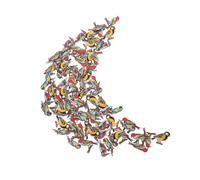 Homoyoyo 100pcs Vintage Bird Shaped Wooden Buttons for Sewing and Crafting Natural Wood Animal Print Buttons for DIY Scrapbooking Knitting Card Making Sustainable Craft Accessories