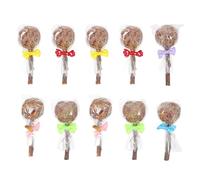 Homoyoyo 10pcs Small Pet Chew Rabbit Hamster Teeth Cleaning Sticks Molar Bite Resistant Rods for Guinea Pigs Chinchillas and Rabbits Random Color