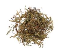 Homoyoyo 1set Realistic Shrubs and Dried Grass for Model Train Landscapes Miniature Diorama Kits Detailed Scenery Accessories for Creative Diy Projects