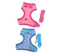 Homoyoyo 2 Sets Hen Harness and Rooster Saddle Leash for Safe Outdoor Walking Adorable Chicken Accessories with Strong Pulling Rope for Pets and Themed Events