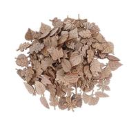 Homoyoyo 200pcs Unfinished Wooden Maple Leaf Cutouts for Autumn Winter Crafts Paintable Wood Embellishments for DIY Learning Handmade Decoration Educational Fine Motor Skill Development
