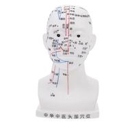 Homoyoyo 20cm Head Acupuncture Model Facial Acupoint Points, Four Functional Head Massage Model for Medical Teaching, White Small Size, for Acupuncture Training and Facial Therapy