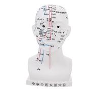 Homoyoyo 20CM Human Head Acupuncture Model for Facial Massage 4 Functional Acupoint Head Model for Medical Teaching and Therapy Suitable for Acupuncture Practitioners and Students
