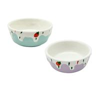 Homoyoyo 2Pcs Ceramic Hamster Food Bowls Small Pet Feeder Basins for Hamsters and Small Animals, Purple and Blue, Suitable for Rodent Feeding and Water Use