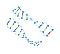 Homoyoyo 2pcs Dna Double Helix Structure Model Kit for Science Education, Human Genes Components Molecular Learning for Biology Teaching and Genetic Experimentation