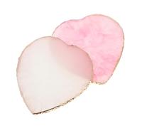 Homoyoyo 2pcs Nail Art Palette Manicure Mixing Tray Polish Display Plate Creative Nail Piece Decor Tool for Salon Home Use