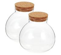Homoyoyo 2pcs Round Glass Ecological Bottle Cork Lid for Micro-landscaping 13cm Diy Desktop Succulent Container Decorative Moss Plant Holder