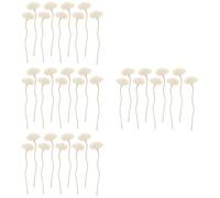 Homoyoyo 36pcs Aromatherapy Sticks for Home Fragrance Fireless Diffuser Reeds Dried Flowers for Bedroom Living Room Car and Office Decor