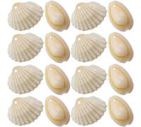 Homoyoyo 3sets Natural Shell Conch Aquarium Decor Fish Tank Adornments for Crafting Home Decoration and Vase Filler for Sea Shell Projects 100pcs*3
