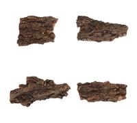 Homoyoyo 4 Pcs Reptile Bark Climbing Habitat Decor, Natural Pine Bark Terrarium Ornament for Lizards, Spiders, and Bearded Dragons, Suitable for Pet Enclosure Landscaping and Feeding