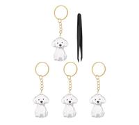 Homoyoyo 4pcs Dog Hair Souvenir Box Pet Hair Keepsake Keychain Refillable Collecting Holder Key Chain Tweezers Pet Fur Memorial Present