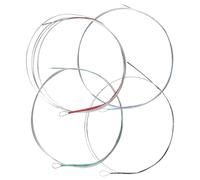 Homoyoyo 4pcs Pipa Strings for Chinese Lute - Durable Steel Wire Practice Strings for Musicians - Perfect for Enhancing Sound Quality and Performance in Traditional Music