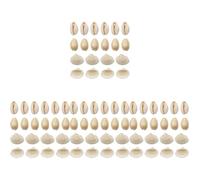 Homoyoyo 4sets Natural Shell Conch Adornment for Crafting Beach Theme Landscaping Desktop Decoration Fish Tank Accents Aquarium Accessories 100pcs*4