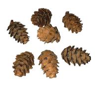 Homoyoyo 50 Pcs Small Pine Cone Decorations Natural Pine Cone Photo Props for Holiday Decor Crafts and Seasonal Events Lightweight and Safe for DIY Projects